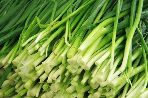 原神最新爆料韭菜,神秘韭菜助力角色成长，探索游戏新玩法  第3张